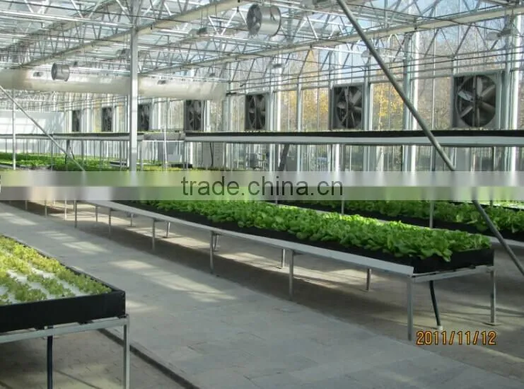 Greenhouse workshop large ventilation exhasut fan