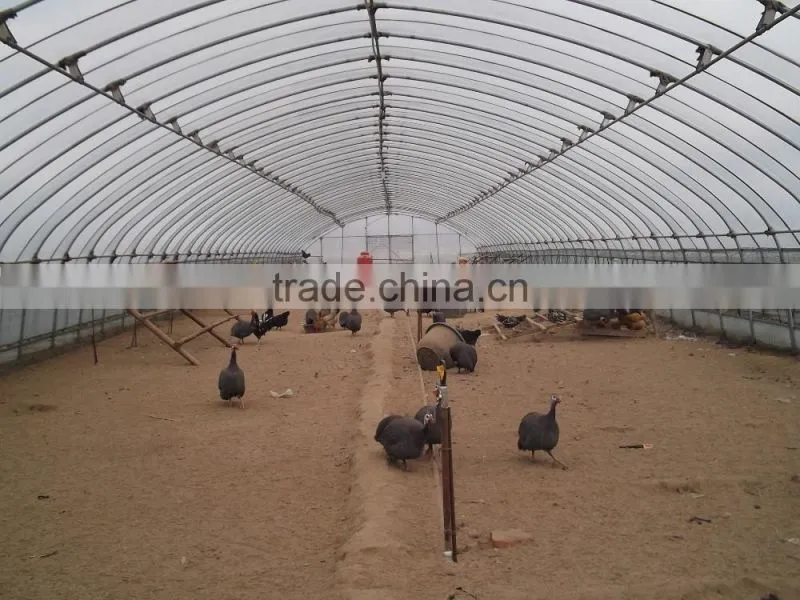 Low cost tunnel greenhouse for poultry farming equipment