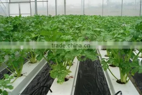 Most Popular Greenhouse NFT Hydroponic Kit 100x50mm