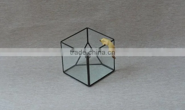 Micro landscape irregular geometric succulent terrariums hanging greenhouse