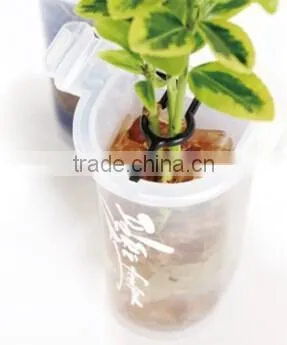 New Arrival Korea Designed Decorative Plastic Flower Hanging Pot