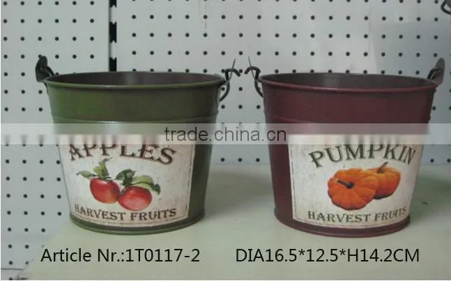 Colored metal water bucket with decal