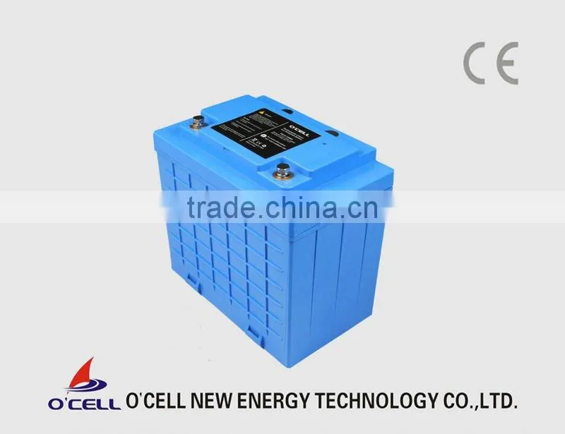 LiFePO4 24V100Ah battery pack with SLA case