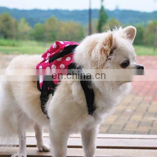backbags with retractable dog leash