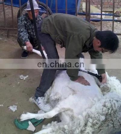 Electric sheep wool cutting scissors// animal hair clipper//horse and cow hair cutter