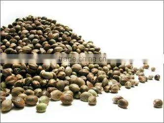 organic hemp seeds for bird feed
