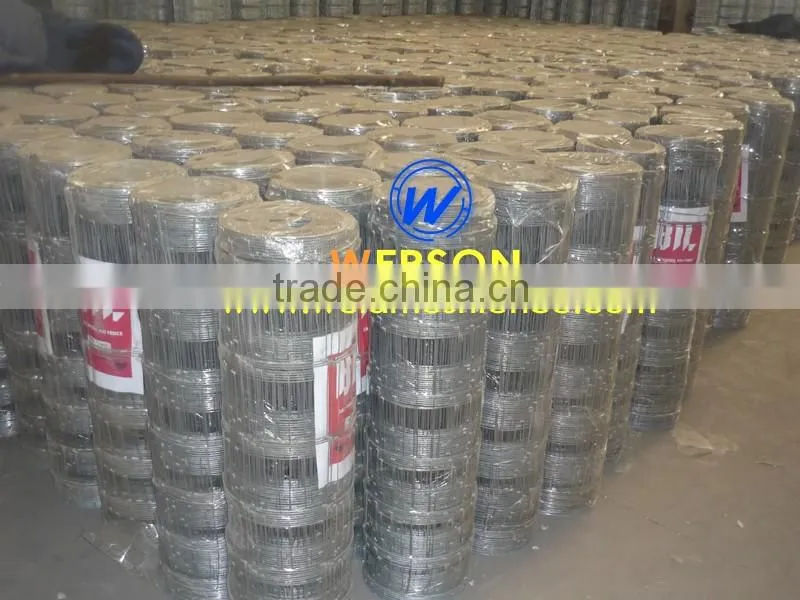 Hot Dipped Galvanized Hog Wire Fencing