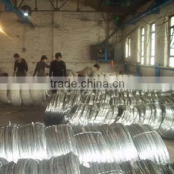 Electro Galvanized Iron Wire