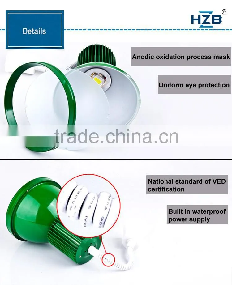 2 Years Warranty Cob Industrial LED High Bay Light 30w Working Light