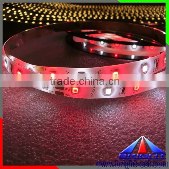 Two Color Whtie Red SMD 2835 LED Strip Light