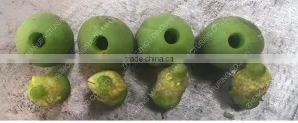 High pitting rate longan fruit pitter machine