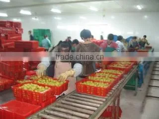 Foshan Fuyi Food Co., Ltd. company overview - view 2