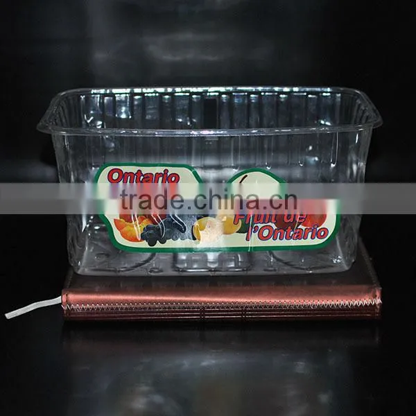 2015 New Design Low Price plastic seedling tray