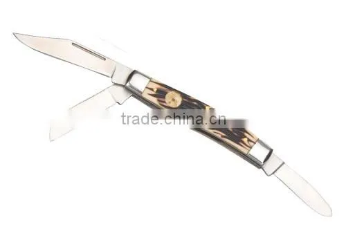 Stainless Bone Handle Gift Knife