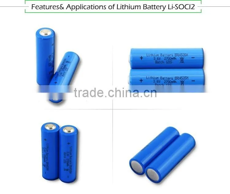 ER10450 AAA 3.6V 800mAh lithium battery Li-SOCI2 battery