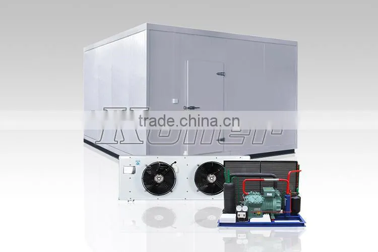China Koller Walk in Freezer Cold Storage Room for fishing & seafood VCR30