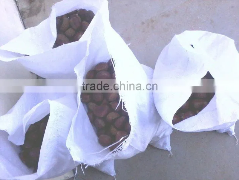 40-50, 50LB gunny bag chinese fresh chestnuts wholesale chestnut