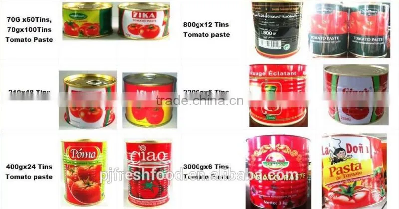 Canned Tomato Paste