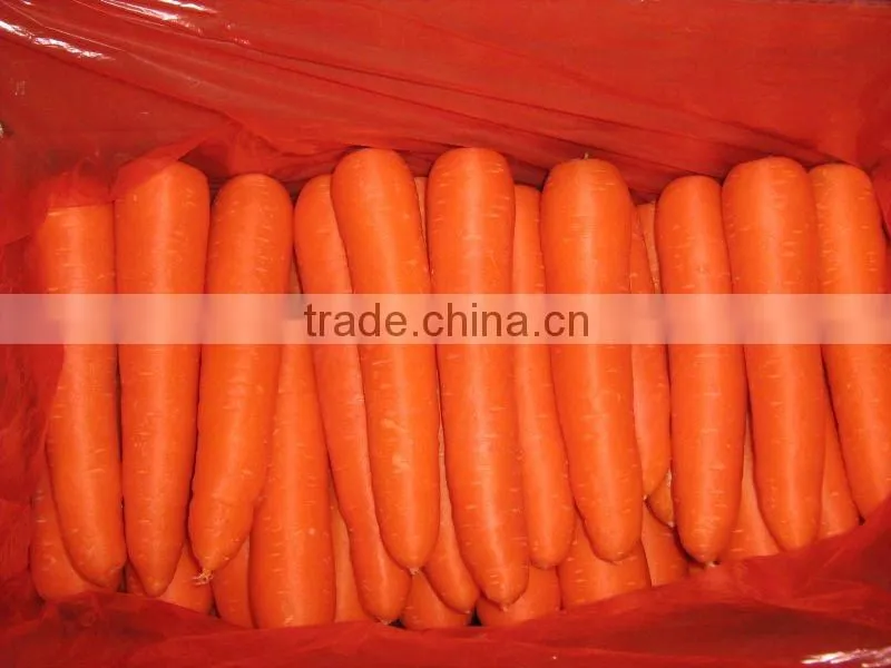 Sell Carrot