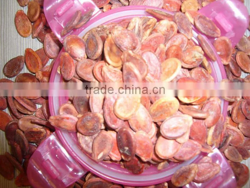 black water melon seed new crop dried