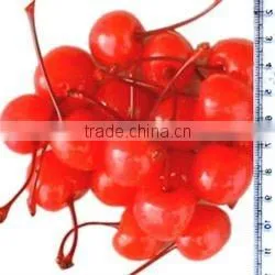 canned sweet cherries with stem