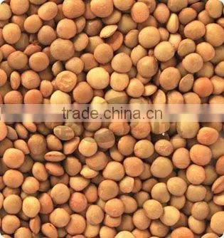 The Newest lentil Color Sorter Machine