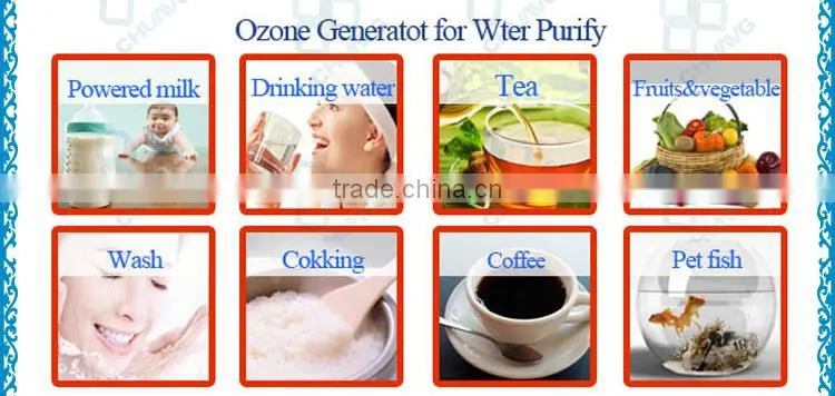 China factory price 1g 3g 5g 6g 7g ozone tube / ozone generator cell