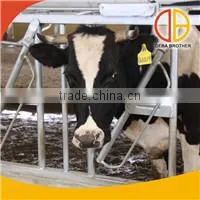 Cow Body Brush/ Electric body brush/electric rotary brush