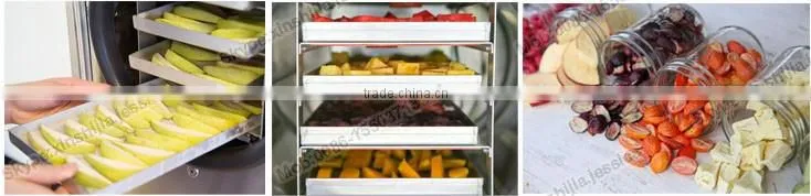 Easy used freeze drying fruit machine