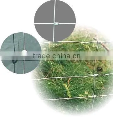 sheep fence