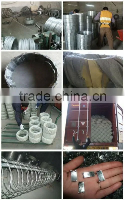 Galvanized Razor Wire
