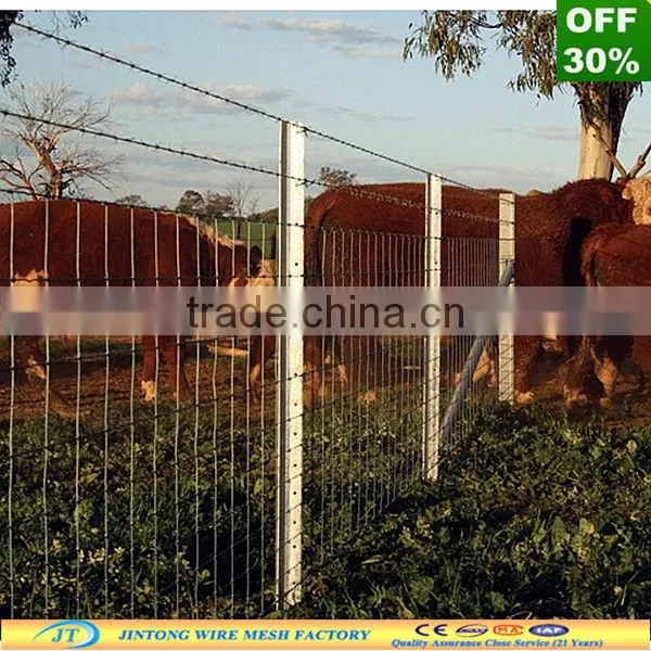 Factory Y fence post/star picket/ fence post/metal fence post