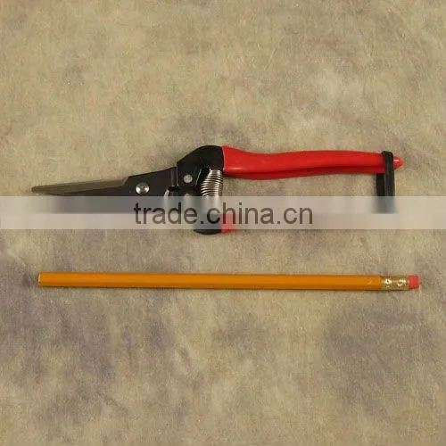 grape scissors
