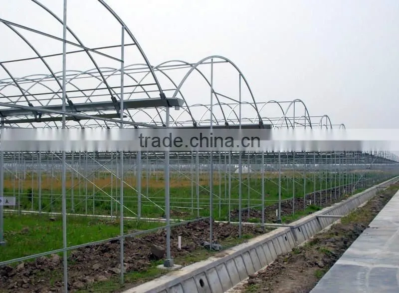Double-layer Film Greenhouse for Seeding