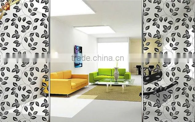 3-19mm Glass Decorative Bathroom Doors with AS/NZS2208:1996