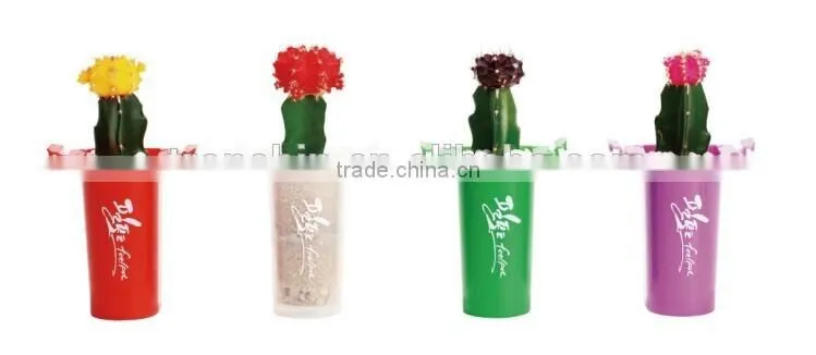 New Arrival Korea Designed Decorative Plastic Flower Hanging Pot