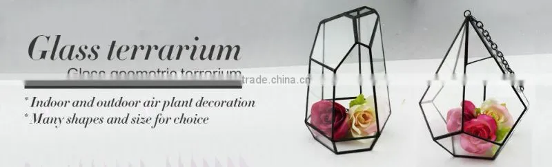 Wedding design shop garden decoration air plant hanging glass geometric terrarium