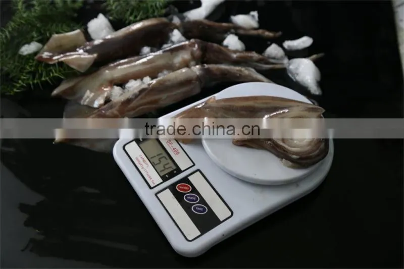 New land sea frozen squid 2015 jigger