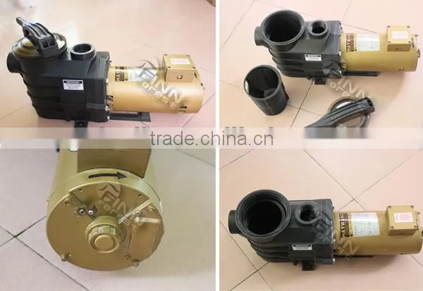 220v 50hz 220v 60hz 380v 50hz Swimming pool circulation pump