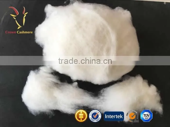 Precious Fibers Cashmere Dehaired Fiber