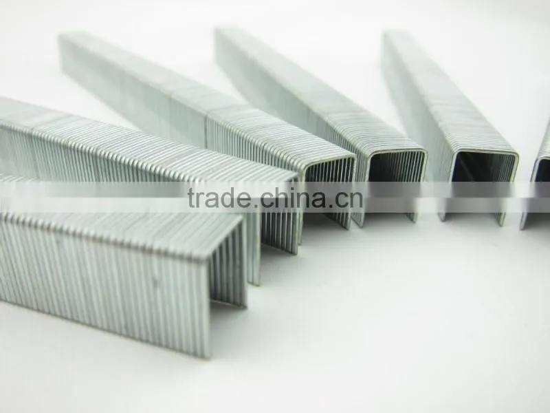 Furniture stapler pin 1007F