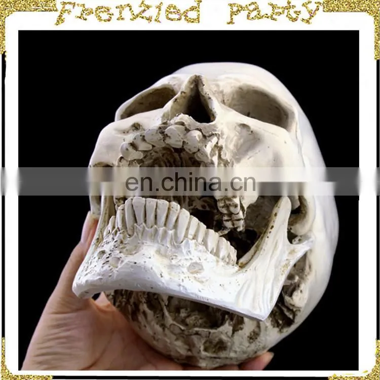 wholesale simulation decorative party skull FGHS-0006