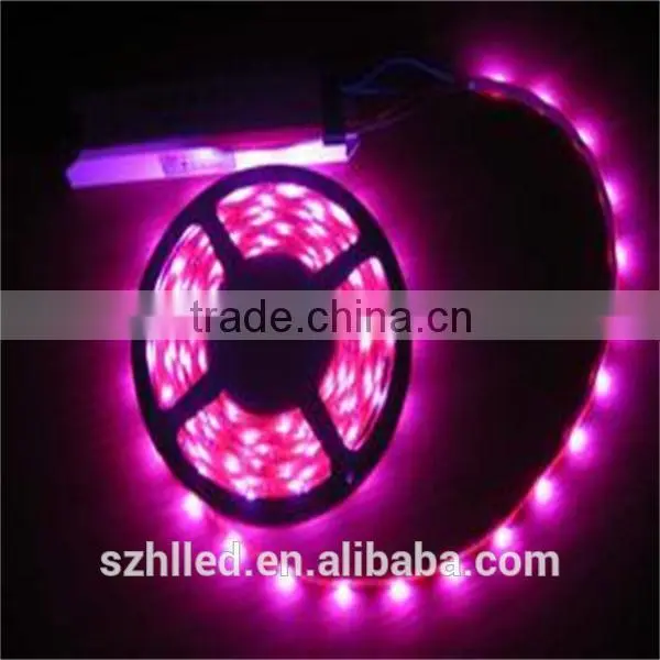 Best sale 2835 double line pcb white flexible led strip 120les/m