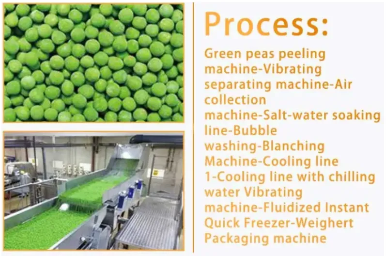 Shanghai IQF Quick Freeze System for Fresh Fruits & Vegetables Instant Frozen Vegetable Machine