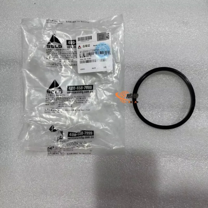 4120001739096 Sealing ring 3.jpg.webp
