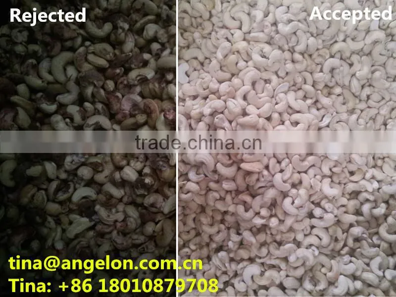 Cashew Colour Sorter Cashew Processing Machines Cashew Colour Sorting Machines
