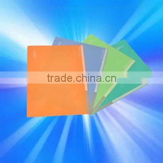 Plastic file folder
