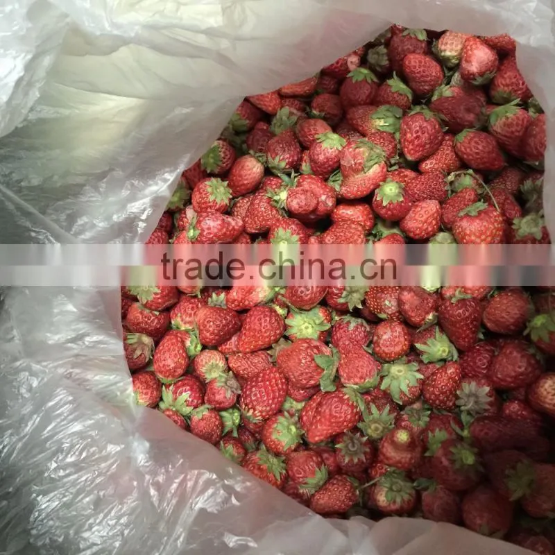 high-quality large capacity Vacuum freeze drying machine