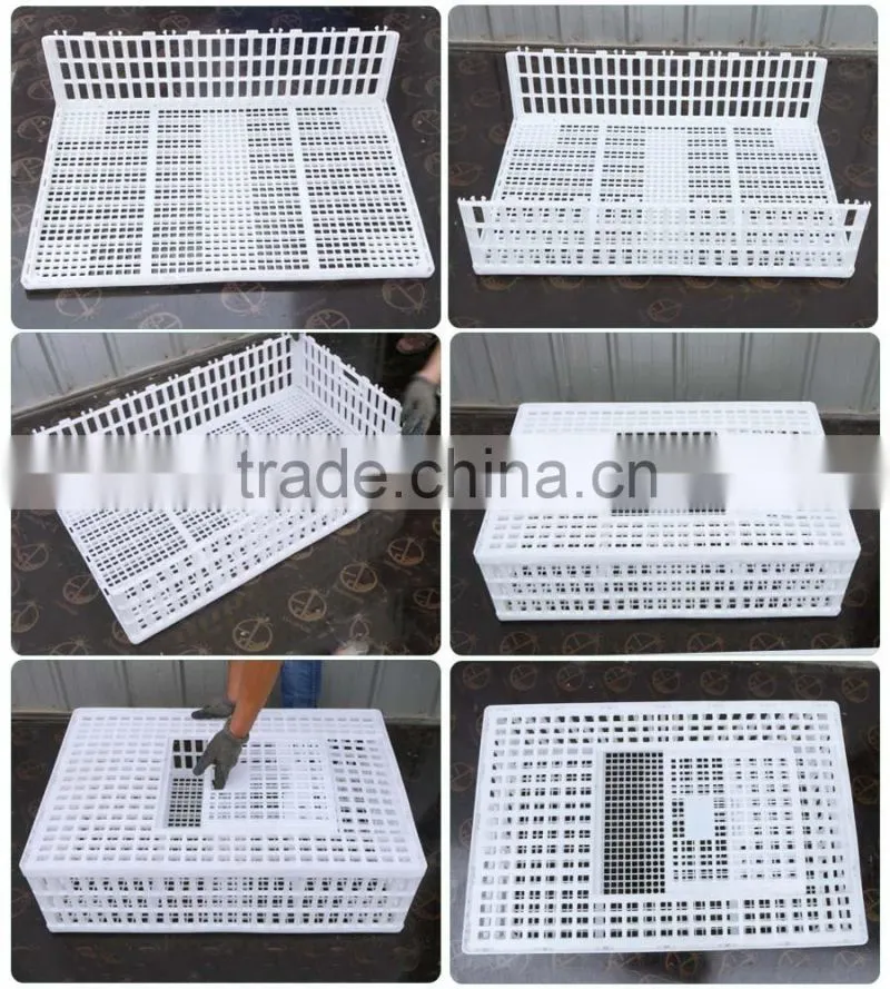 new polyethylene china factory plastic chicken cage