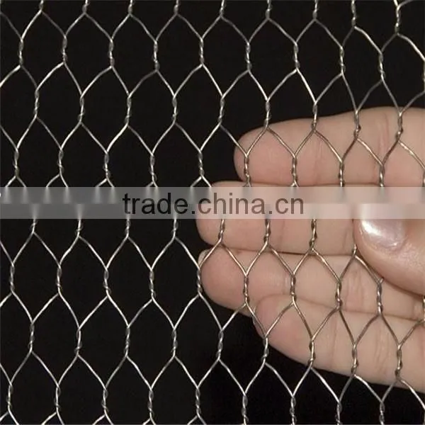 High quality Chicken wire mesh